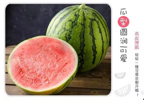 吃瓜分享,揭秘娱乐圈那些鲜为人知的幕后故事