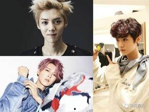 吃瓜娱乐圈鹿晗图片高清,娱乐圈瓜田里的清新风景